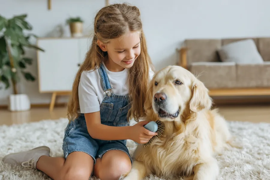 Why Pet Owners Are Switching to This Powerful Grooming Vacuum Cleaner?
